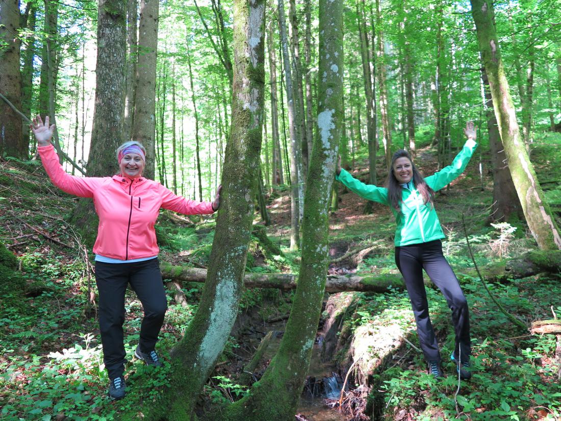 Waldgesundheitstrainerinnen am Baum