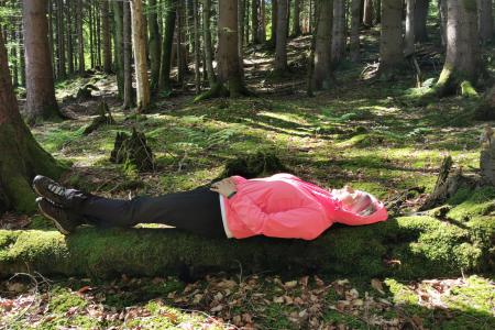 Beim Waldbaden auf dem Baum liegen