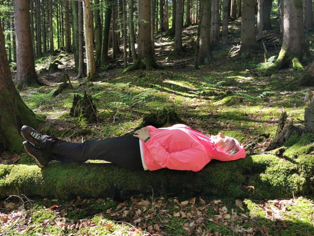 Waldbaden, liegen auf einem Baumstamm 